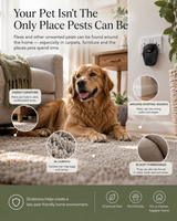 Living room diagram labelling where pests shelter: under furniture, in carpets, around skirting boards and in soft furnishings